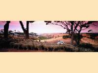 Flinders Range im Outback australiens