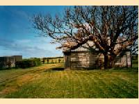 Tasmanien - Beliebtes Ziel bei deutschen Touristen