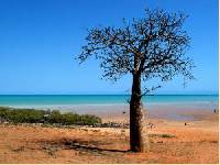 Das Outback in Australien: Cowboy-feeling bei der Cattle Drive