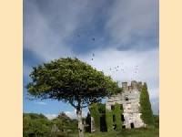 Menlo castle bei Galway in Irland - Neues Marriott-Courtyard wird 2006 er�ffnet