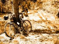 Kein Wildwuchs mehr: Neues Gesetz f�r Mountainbiking im italienischen Trentino